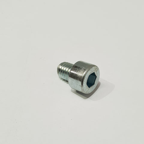 Hex. socket head cap screw M8x10,VZ