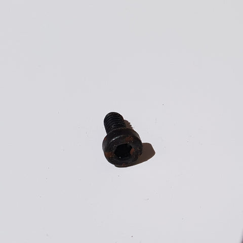 Hexagon socket head cap screw M4x8,SW