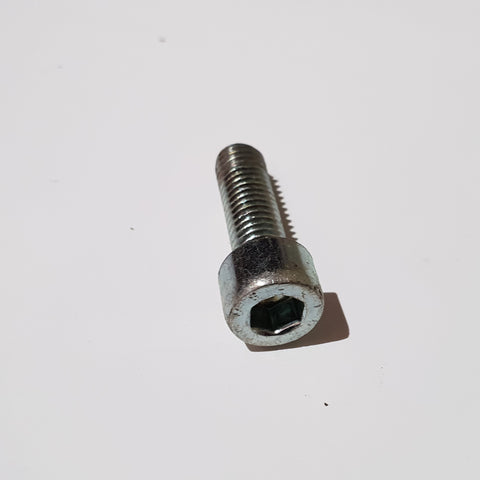 Hexagon socket head cap screw M8x25,VZ